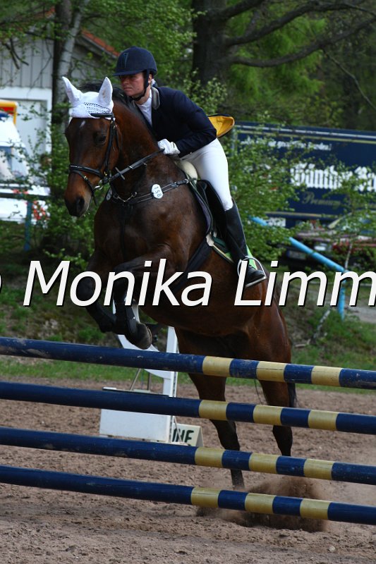 004M2214_Liberty_Punkte L m. Joker.JPG